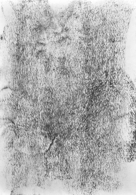 image12