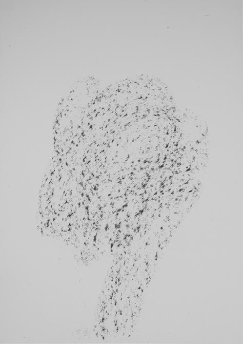 image12